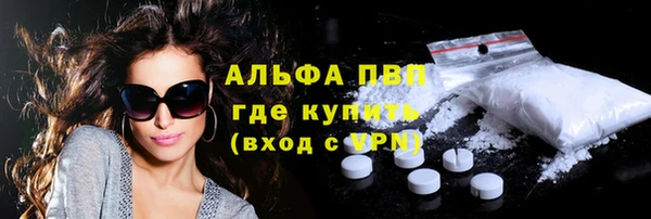 PSILOCYBIN Аркадак