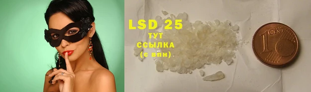 PSILOCYBIN Аркадак